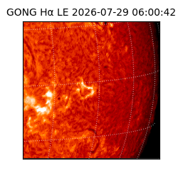 gong - 2026-07-29T06:00:42