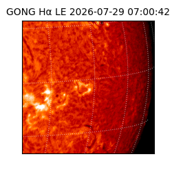 gong - 2026-07-29T07:00:42