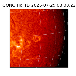 gong - 2026-07-29T08:00:22