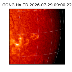 gong - 2026-07-29T09:00:22