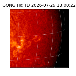 gong - 2026-07-29T13:00:22