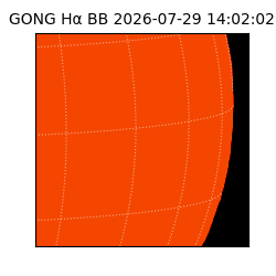 gong - 2026-07-29T14:02:02