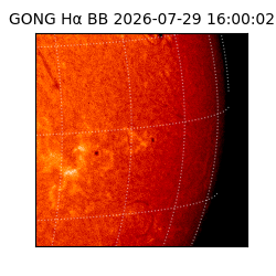 gong - 2026-07-29T16:00:02