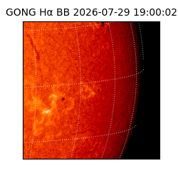 gong - 2026-07-29T19:00:02