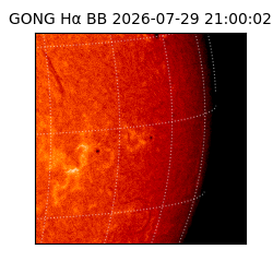 gong - 2026-07-29T21:00:02