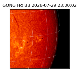 gong - 2026-07-29T23:00:02