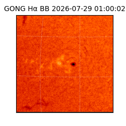 gong - 2026-07-29T01:00:02