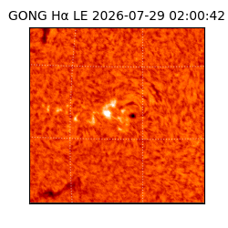gong - 2026-07-29T02:00:42