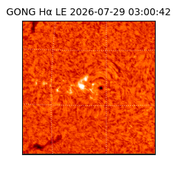gong - 2026-07-29T03:00:42