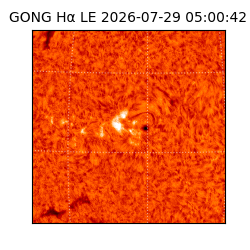 gong - 2026-07-29T05:00:42
