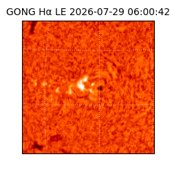 gong - 2026-07-29T06:00:42