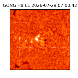 gong - 2026-07-29T07:00:42