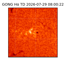 gong - 2026-07-29T08:00:22