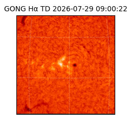 gong - 2026-07-29T09:00:22
