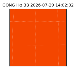 gong - 2026-07-29T14:02:02