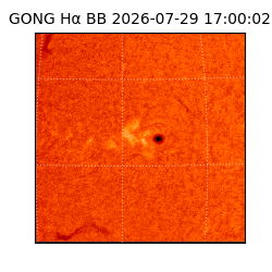 gong - 2026-07-29T17:00:02