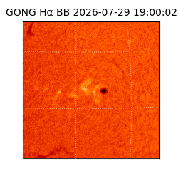 gong - 2026-07-29T19:00:02