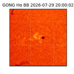 gong - 2026-07-29T20:00:02