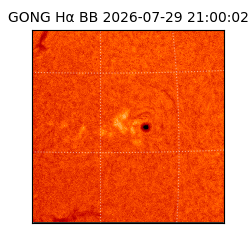 gong - 2026-07-29T21:00:02