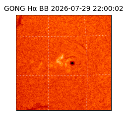 gong - 2026-07-29T22:00:02