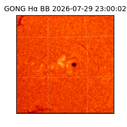 gong - 2026-07-29T23:00:02