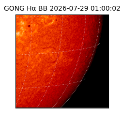 gong - 2026-07-29T01:00:02
