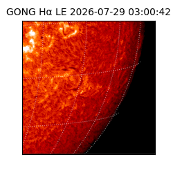 gong - 2026-07-29T03:00:42