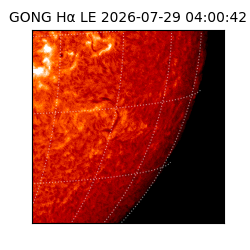 gong - 2026-07-29T04:00:42