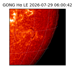 gong - 2026-07-29T06:00:42