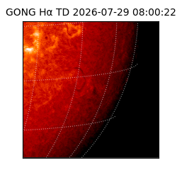 gong - 2026-07-29T08:00:22