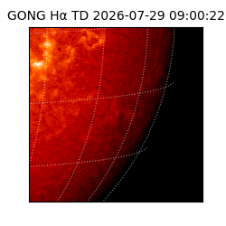 gong - 2026-07-29T09:00:22
