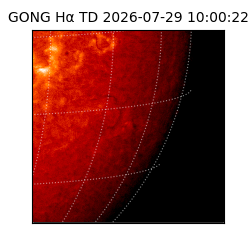 gong - 2026-07-29T10:00:22