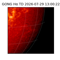 gong - 2026-07-29T13:00:22