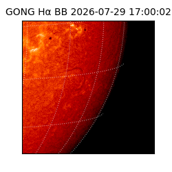 gong - 2026-07-29T17:00:02