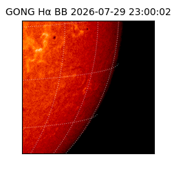 gong - 2026-07-29T23:00:02