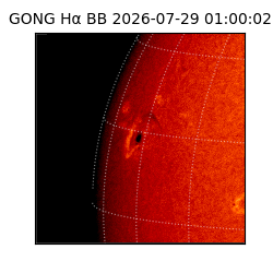gong - 2026-07-29T01:00:02