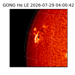 gong - 2026-07-29T04:00:42
