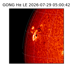 gong - 2026-07-29T05:00:42