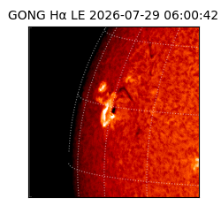 gong - 2026-07-29T06:00:42