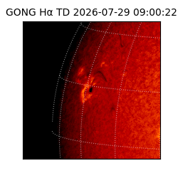 gong - 2026-07-29T09:00:22