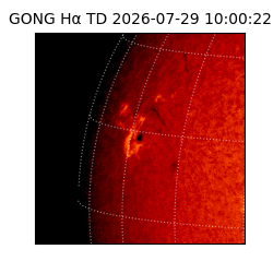 gong - 2026-07-29T10:00:22