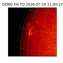 gong - 2026-07-29T11:00:22