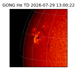 gong - 2026-07-29T13:00:22