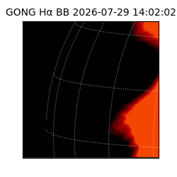 gong - 2026-07-29T14:02:02