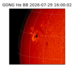 gong - 2026-07-29T16:00:02