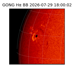gong - 2026-07-29T18:00:02