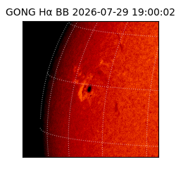 gong - 2026-07-29T19:00:02