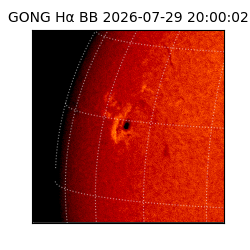 gong - 2026-07-29T20:00:02