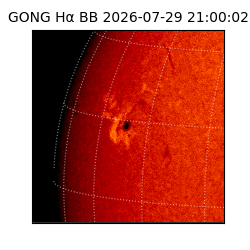 gong - 2026-07-29T21:00:02