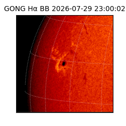 gong - 2026-07-29T23:00:02